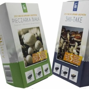 White champignons and Shiitake set – 2 Ready-made packages for growing at home