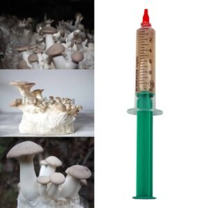 King Oyster Mushroom ERYNGII liquid mycelium in a syringe 10ml