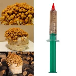 Nameko Mushroom NAMEKO (Pholiota nameko) liquid mycelium in a syringe 10ml