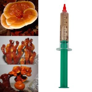 Reishi Mushroom REISHI (Ganoderma lucidum) liquid mycelium in a syringe 10ml