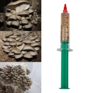 Oyster mushroom (Pleurotus ostreatus) liquid mycelium in a syringe 10ml