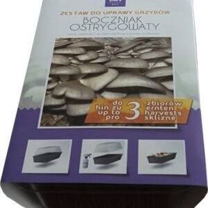 Oyster mushrooms- The package is ready for growing at home