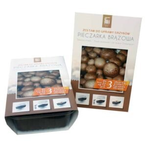 Brown champignons set- The package is ready for growing at home