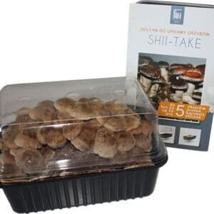 Mushroom growing kits