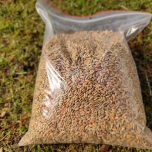 Organic wheat grains for sterilization