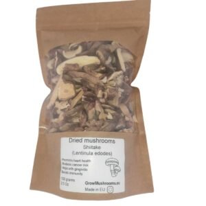 Dried Shiitake (Lentinula edodes) 100g