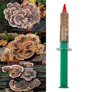 Turkey Tail Mushroom (Trametes versicolor) Liquid Mycelium in a Syringe