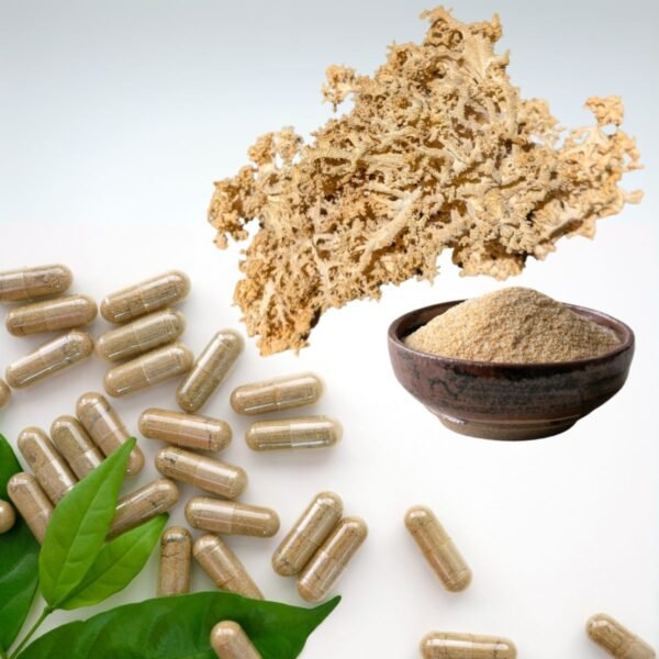 Vegan capsules Coral Tooth Fungus (Hericium coralloides)