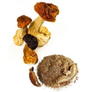 Dried mushrooms