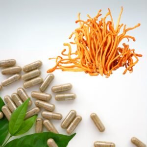 Orange Caterpillar Mushroom (Cordyceps militaris)