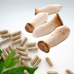 Vegan Capsules of King Oyster Mushroom Eryngii (Pleurotus eryngii)