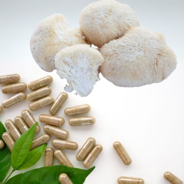 Vegan Capsules of Lion’s Mane (Hericium erinaceus)