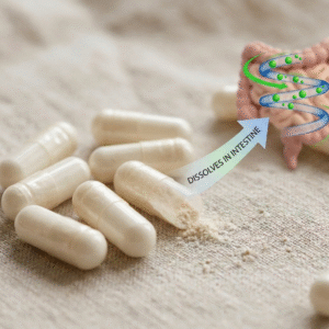 Delayed release empty capsules