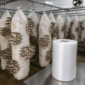 Bags for growing mushrooms